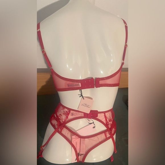 NWT Agent Provocateur Zadi Red 3 Piece Set Bra 32DD, Thong AP4, Suspenders AP4 - Picture 7 of 11